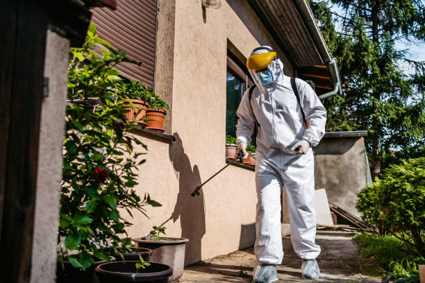 Best Termite Control Services  in Decatur, IN
