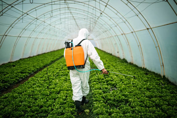 Pest Control for Restaurants in Decatur, IN