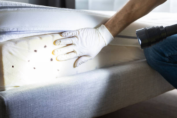 Best Pest Control Near Me  in Decatur, IN