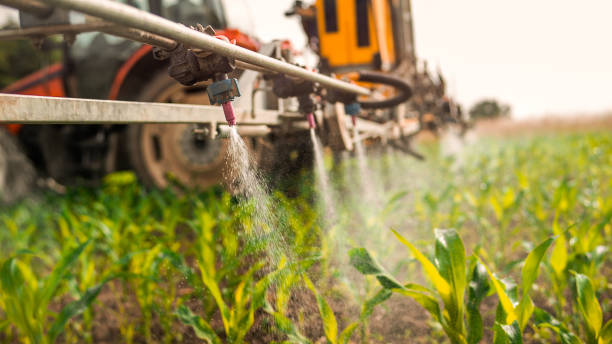 Reliable Decatur, IN Pest Control Solutions